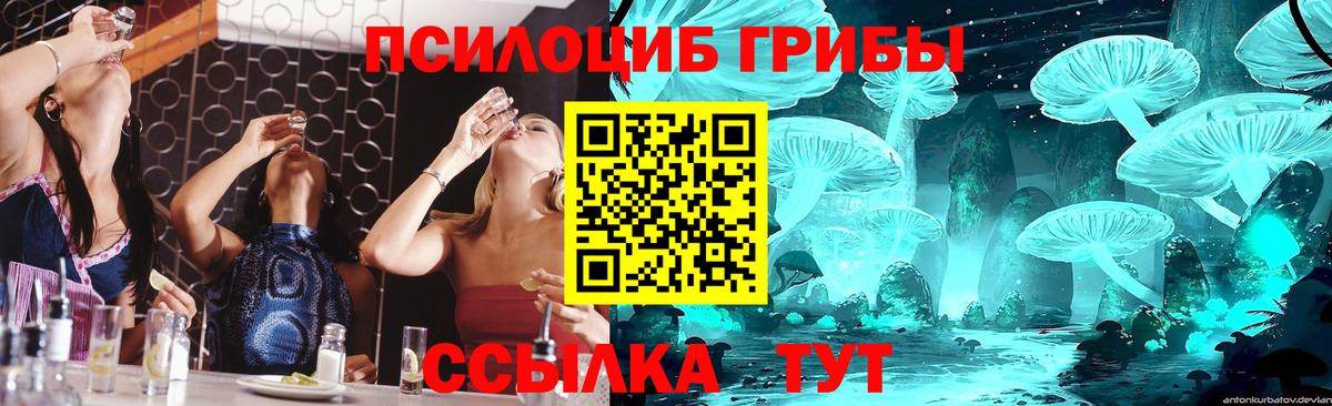 Галлюциногенные грибы Psilocybe  Вход с VPN  Псилоцибиновые грибы Cubensis  Орехово-Зуево 